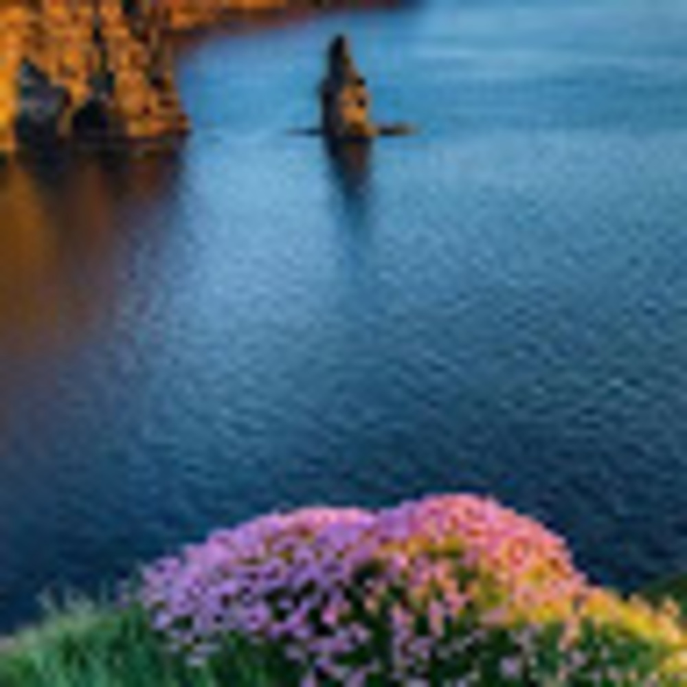 Meet your Posher, Gayane